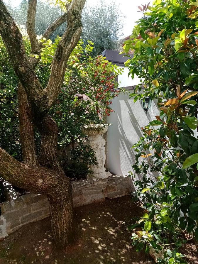 B&B Il Cantuccio Desenzano del Garda Exteriör bild